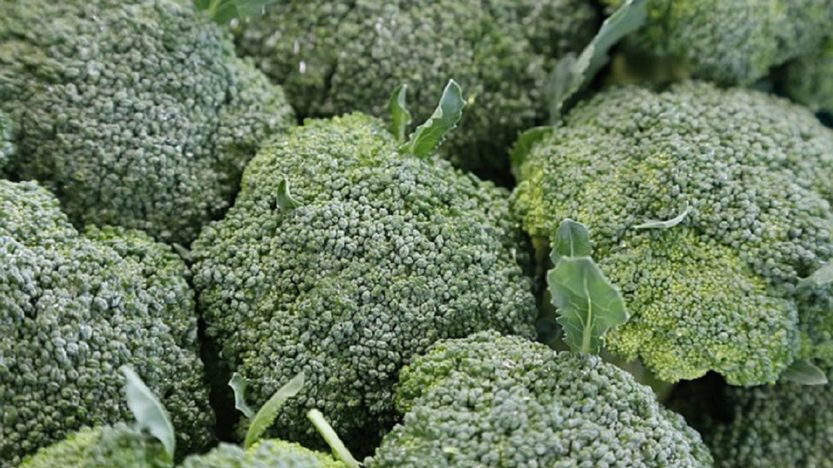 brimapack broccoli.png